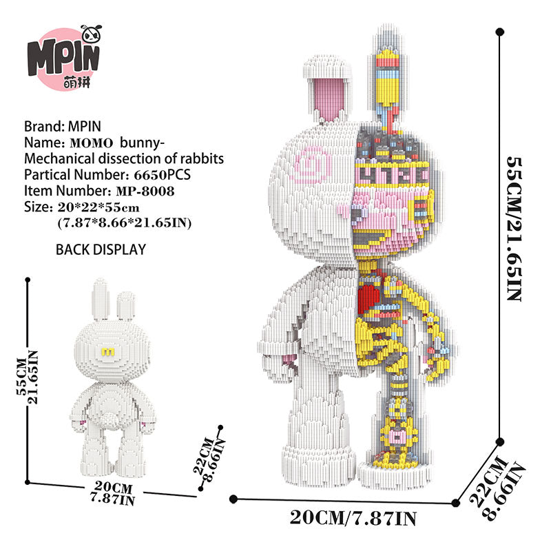 【55cm】M8008 Mechanical dissection of rabbits